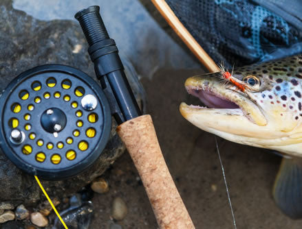 apache tomahawk fishing pole Fly Rods – Tomahawk